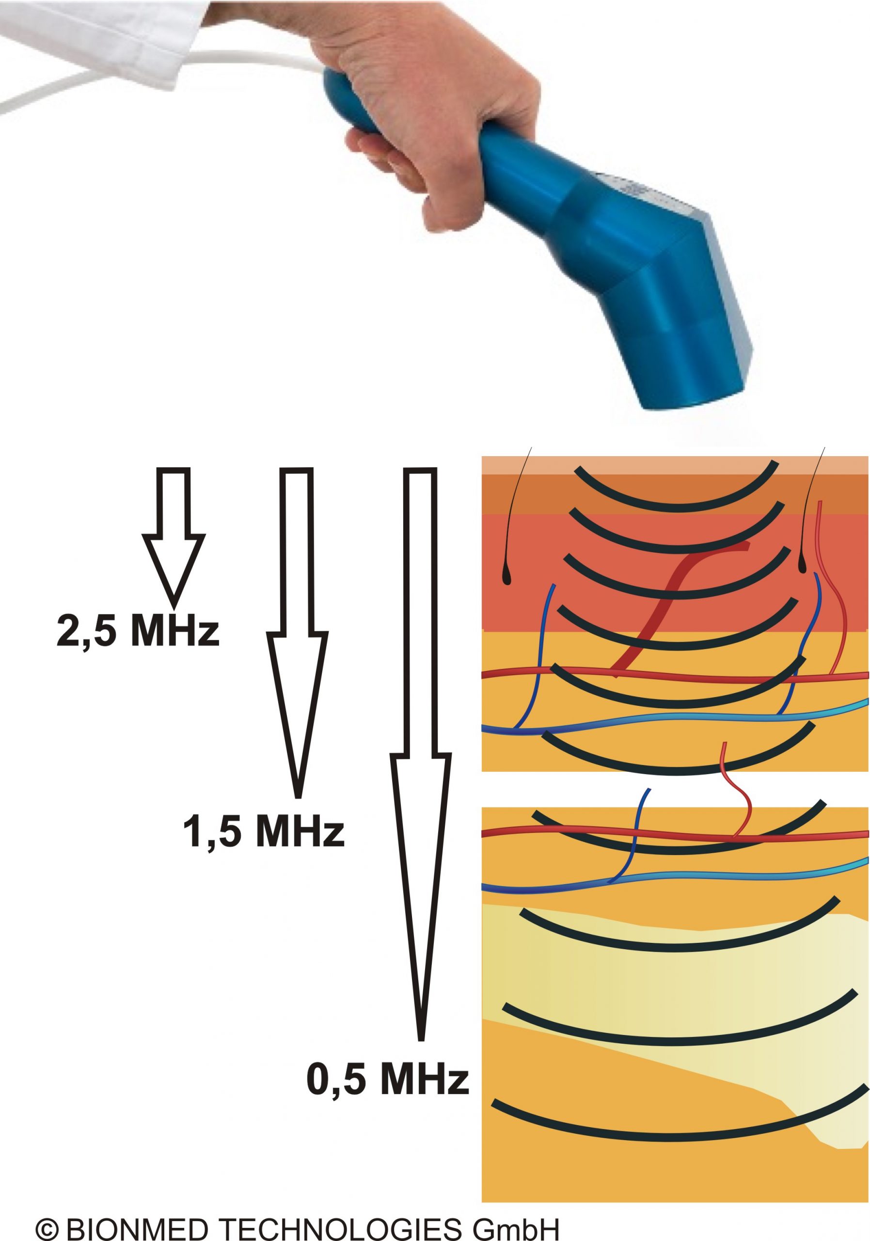 2019_Haut US 3 Frequ